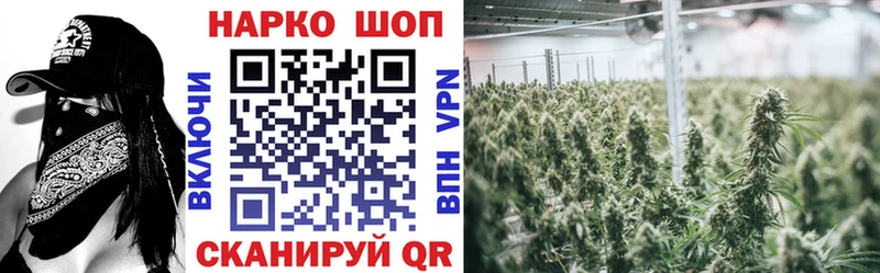 Как найти наркотики Пустошка СК  КОКАИН  ГАШ  МЕФ  Канабис 