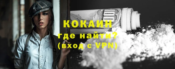 шишки Касимов