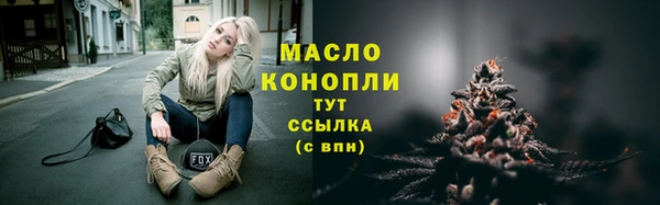 сатива Няндома