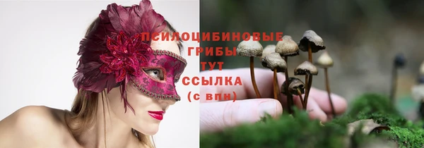 шишки Касимов