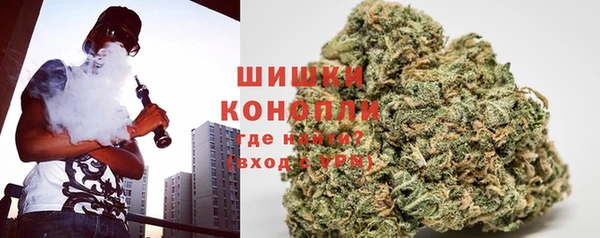 шишки Касимов