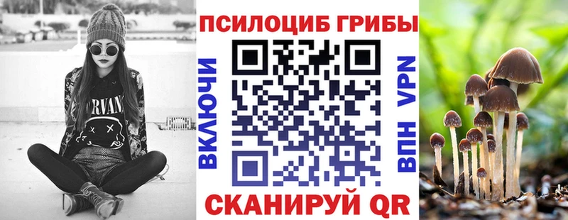 Псилоцибиновые грибы Magic Shrooms  Пустошка 